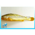 CONGELÉ GRAND YELLOW CROAKER FISH (SEAFOOD)